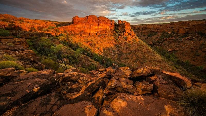 Silencing Dissent: Jimmy Lai's 20-Year Sentence and the Death of Hong Kong's Freedom?