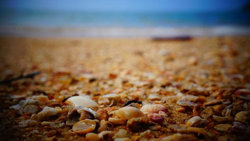 Super Bowl LX Halftime Show: Was It the Greatest Ever?! (A Deep Dive)