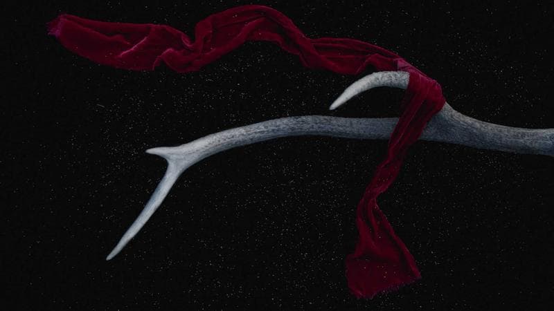 Tech Cold War: Is US Innovation Enough to Win Against China?